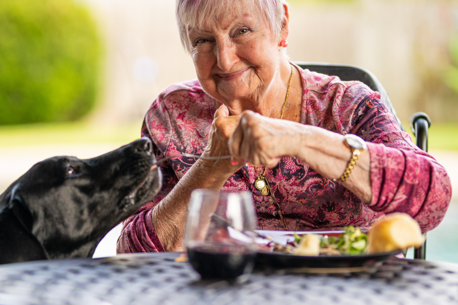 Foto: Unsplash Möglichst lange zuhause wohnen, das wünschen sich alle Seniorinnen und Senioren. Wenn das nicht mehr möglich ist, beginnt die schwierige Suche nach einer Einrichtung.